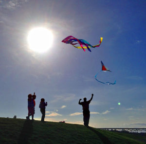Family flying kites in the sun